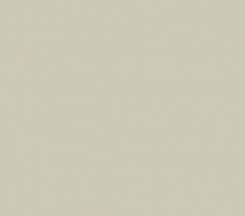  Private Gray by Corian