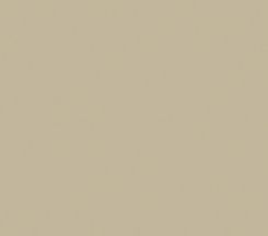 Babylon Beige by HI-MACS