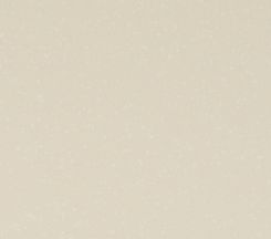 A504. Asteroid Cream by Krion