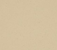  Camel Nature by Krion