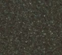  Fossil Forest by Krion