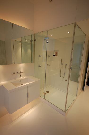 Vanity and Shower enclosure