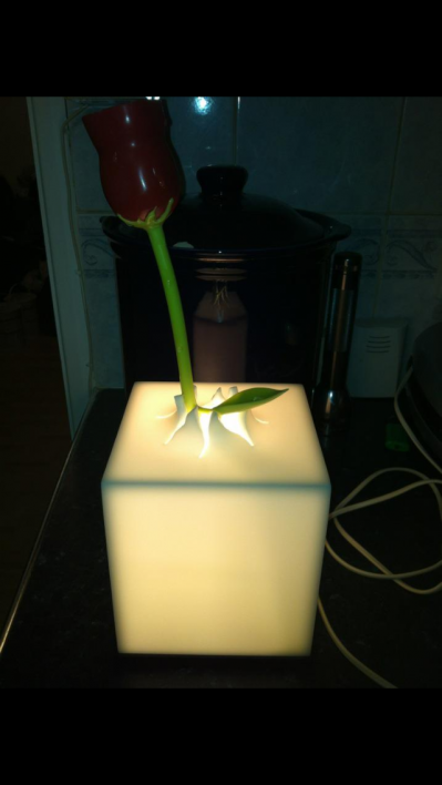 The Iluminated, finished product